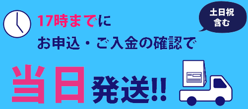 GMEの即日発送